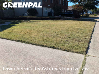 Affordable Landscaping Maintenance Services In Killeen,76549,Landscaping Installation by Ashley's Invicta Law, work completed in Nov , 2025