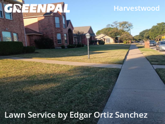 Lawn Carein Plano,75023,Lawn Maintenance by Edgar Ortiz Sanchez, work completed in Dec , 2025