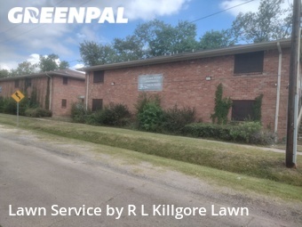 Grass Cut nearby Beaumont, TX, 