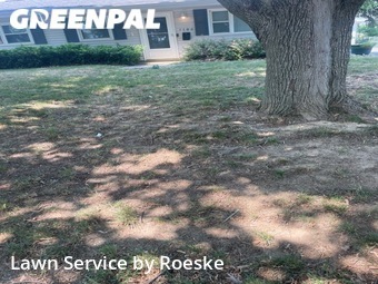 Lawn Service nearby Normal, IL, 