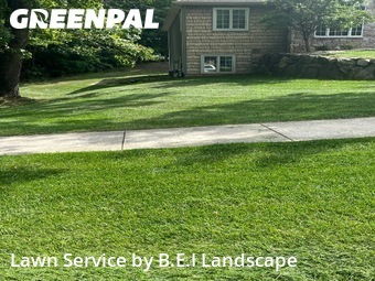 Lawn Cut nearby Kalamazoo, MI, 