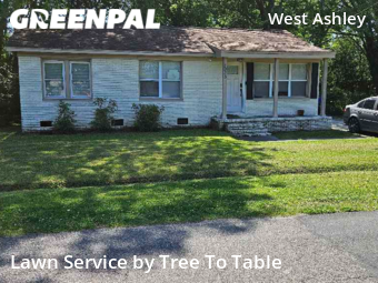 Lawn Maintenance nearby Charleston, SC, 