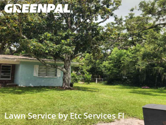 Lawn Care Servicein Dunedin,34698,Lawn Service by Etc Services Fl, work completed in Nov , 2025
