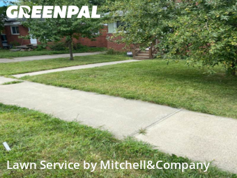 Yard Mowing in Inkster, 48141, Backyard Mowing by Mitchell&Company, work completed in Nov , 2025