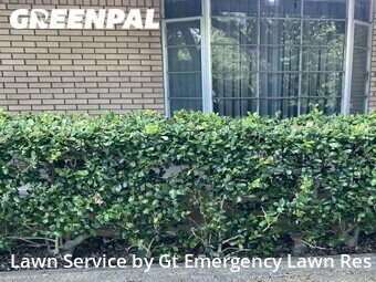 Lawn Mow nearby Gunter, TX, 