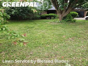 Lawn Mowing Service nearby Springfield, MO, 