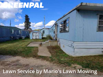 Yard Upkeep in Rochester, 55906, Lawn Upkeep by Mario's Lawn Mowing, work completed in Oct , 2025