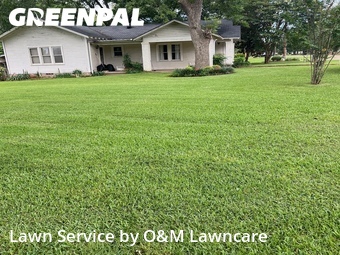 Lawn Mowing Service nearby Frankston, TX, 
