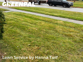 Grass Cut nearby Elyria, OH, 