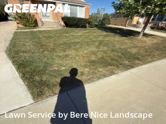 Yard Care Services in Niles, 60714, Yard Care Services by Bere Nice Landscape, work completed in Oct , 2025