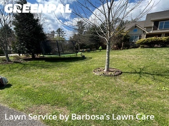 Lawn Mow nearby Mills River, NC, 