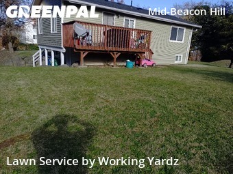 Lawn Care nearby Seattle, WA, 