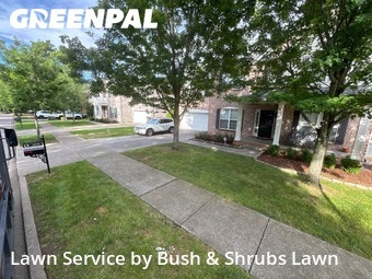 Grass Cutin Franklin,37067,Lawn Care by Bush & Shrubs Lawn, work completed in Jun , 2026
