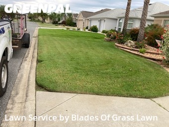 Lawn Mowing Service nearby Wildwood, FL, 