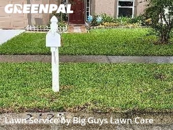Lawn Care Service nearby Valrico, FL, 
