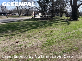 Lawn Mowing Service nearby Granite City, IL, 