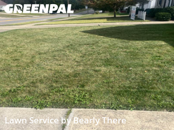 Lawn Care nearby Cleveland, OH, 