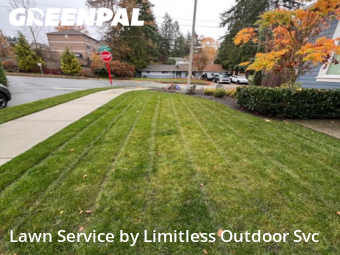 Yard Cutting nearby Newcastle, WA, 