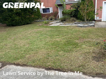 Lawn Cut nearby Jacksonville, NC, 