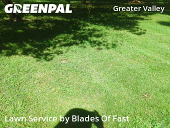 Lawn Care nearby Decatur, GA, 