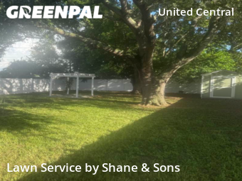 Yard Mowing nearby St. Petersburg, FL, 