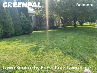 Grass Cut nearby Dayton, OH, 