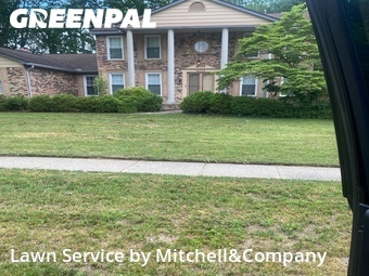 Lawn Cut nearby Shelby Township, MI, 