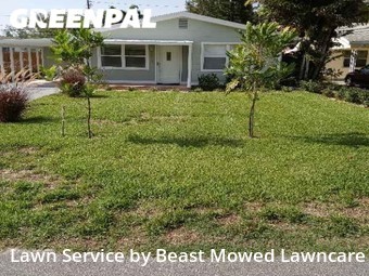 Lawn Mow nearby Gulfport, FL, 