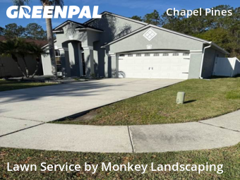 Grass Cut nearby Wesley Chapel, FL, 