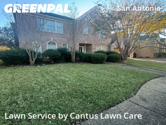 Grass Cuttingin San Antonio,78248,Grass Cutting by Cantus Lawn Care , work completed in Dec , 2025