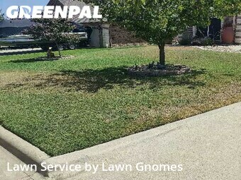 Lawn Cut nearby Harker Heights, TX, 