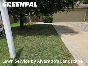 Lawn Mowin Conroe,77303,Grass Cutting by Alvarado's Landscape, work completed in Jun , 2026