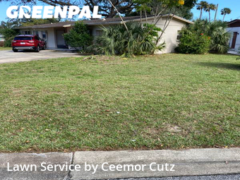 Lawn Cutting nearby Daytona Beach, FL, 