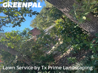 Lawn Mowing Service nearby Euless, TX, 