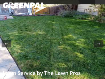 Lawn Mowing Service nearby Thornton, CO, 
