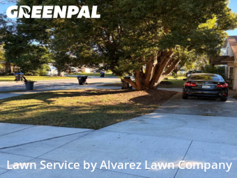 Lawn Servicein Winter Park,32789,Lawn Care Service by Alvarez Lawn Company, work completed in Dec , 2025