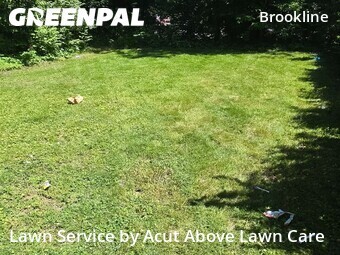 Grass Cut nearby Pittsburgh, PA, 