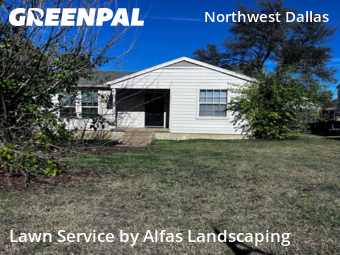 Landscaping Cleanup In Dallas,75220,Landscaping Installation by Alfas Landscaping, work completed in Dec , 2025