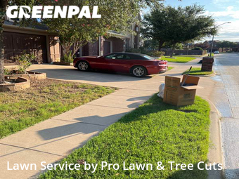 Lawn Cut nearby Euless, TX, 