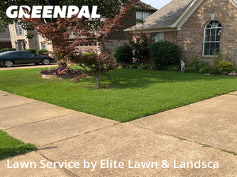 Grass Cut nearby Olive Branch, MS, 