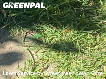 Lawn Mowing Service nearby Pittsburgh, PA, 