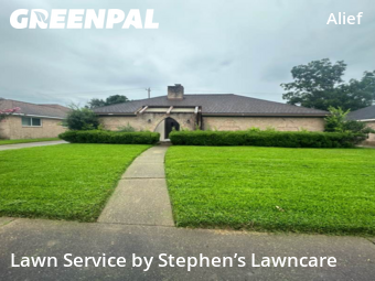 Yard Cuttingin Stafford,77477,Lawn Cutting by Stephen’s Lawncare, work completed in Nov , 2025