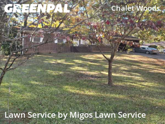 Landscaping Cleanup In Atlanta,30311,Landscapers by Migos Lawn Service, work completed in Nov , 2025