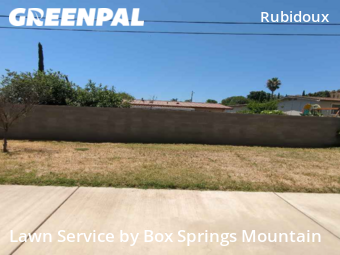 Lawn Cut nearby Riverside, CA, 