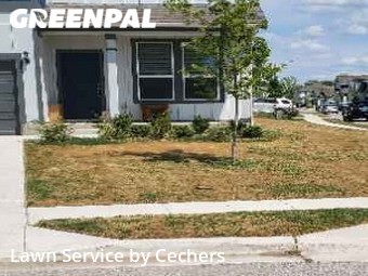 Lawn Mowing Service nearby Austin, TX, 