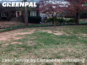 Lawn Cut nearby Buford, GA, 