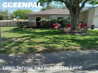 Lawn Cut nearby San Antonio, TX, 