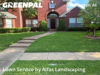 Landscapers In Plano,75024,Landscaping Maintenance by Alfas Landscaping, work completed in Jun , 2026