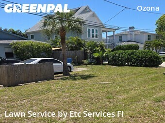 Lawn Cuttingin Palm Harbor,34683,Lawn Cutting by Etc Services Fl, work completed in Jun , 2026