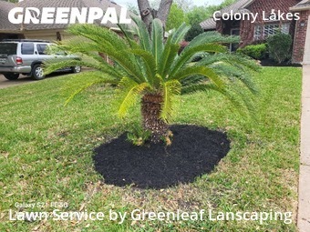 Grass Cutting nearby Missouri City, TX, 